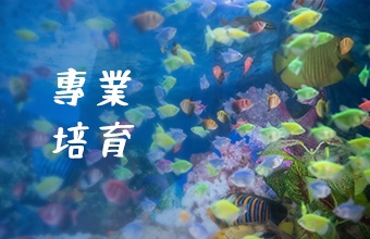 複製-