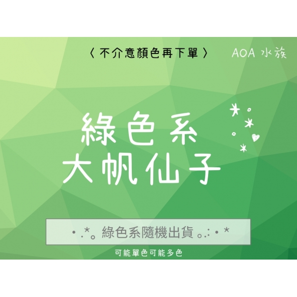 大帆仙子～綠色系專區