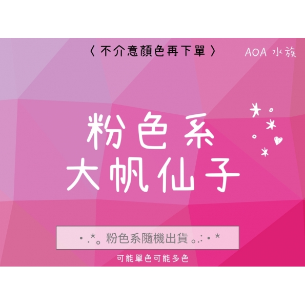 大帆仙子～粉色系專區