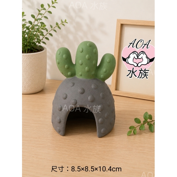 黑陶躲避屋：仙人掌／可培菌／魚缸裝飾／必備